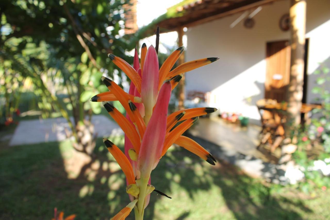 Family Guest House Velha Boipeba المظهر الخارجي الصورة