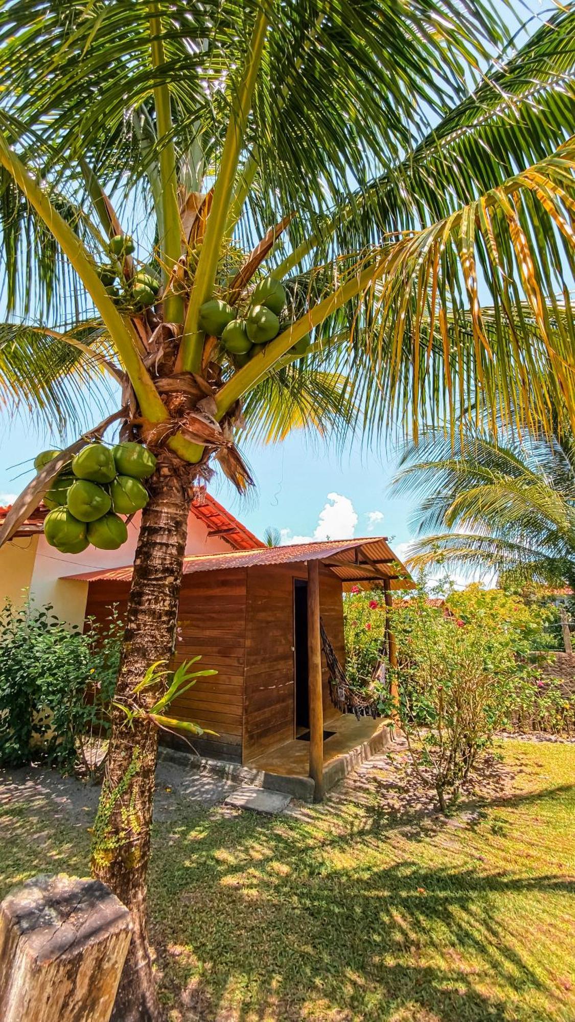 Family Guest House Velha Boipeba المظهر الخارجي الصورة